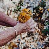 Glycans, Chronic Inflammation and Aging: Strategies for Prevention and Rejuvenation
