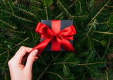 top biohacking wellness holiday christmas gifts