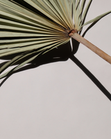 Harnessing the Power of Fasting: Exploring the Benefits for Optimal Health
