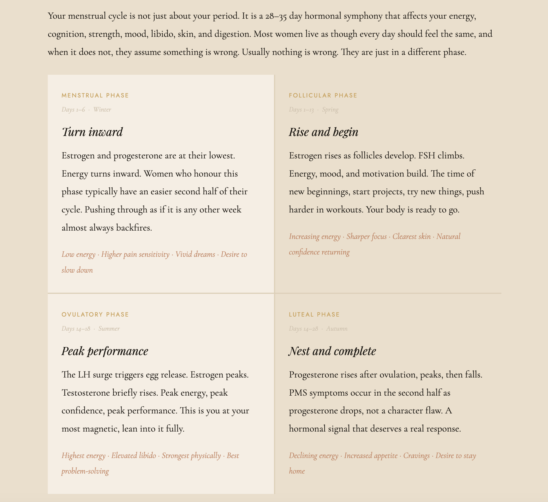 Ebb and Flow: Digital Cycle Syncing + Peptide Guide