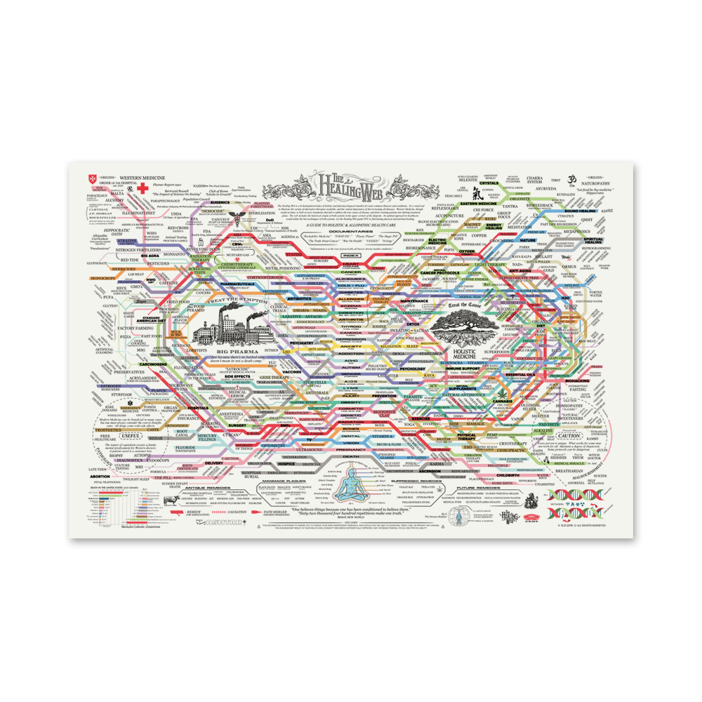 The Healing Web
