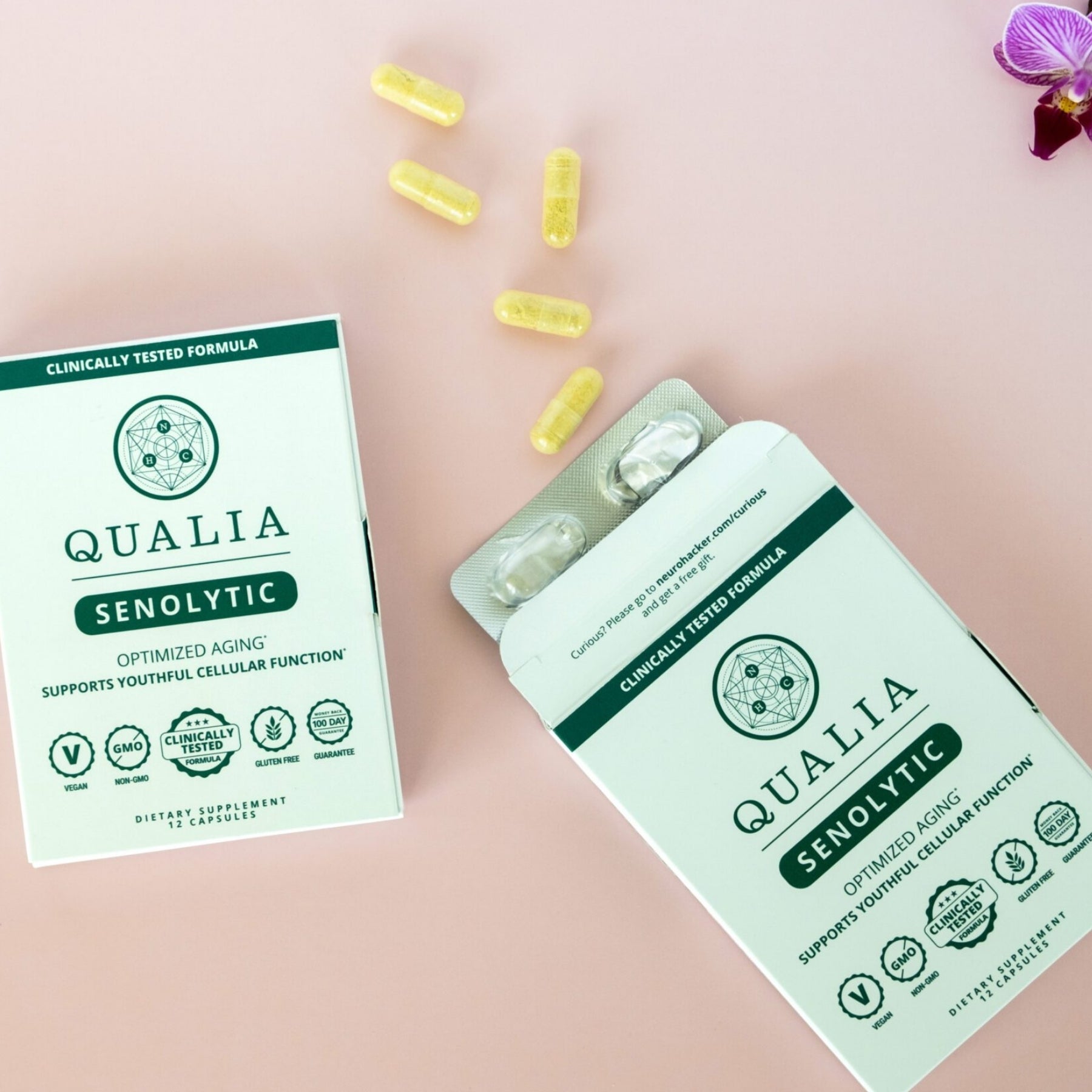 Qualia – Biohacking Brittany